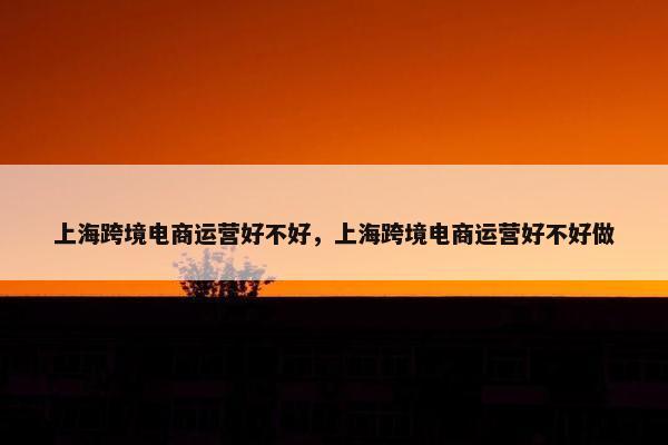 上海跨境电商运营好不好，上海跨境电商运营好不好做